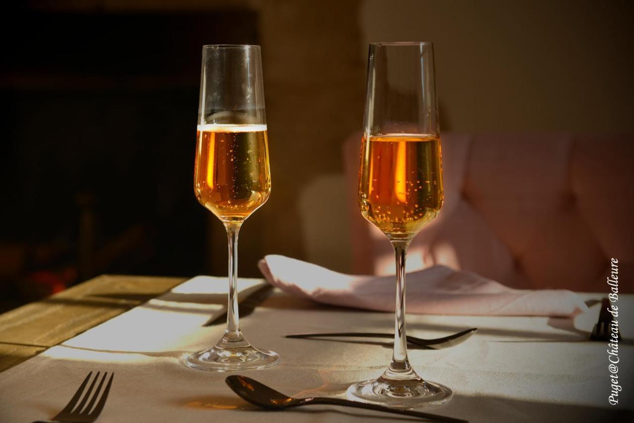 Chateau De Balleure Etrigny Eksteriør billede