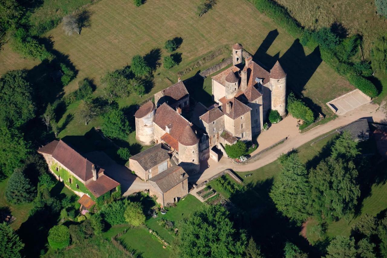 Chateau De Balleure Etrigny Eksteriør billede