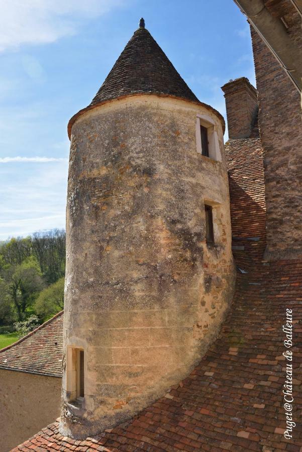 Chateau De Balleure Etrigny Eksteriør billede
